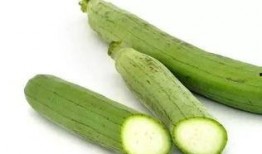 热门大瓜每日必吃大瓜 电影,揭秘热门大瓜，每日必吃电影幕后秘辛