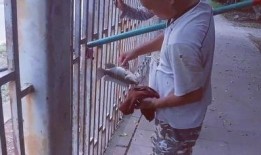 体育生栏杆救人操视频吃瓜,体育生英勇救人瞬间引网友热议