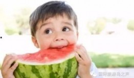 热门大瓜每日必吃大瓜 网红黑料爆料网在线看,热门大瓜每日必吃，黑料爆料一网打尽